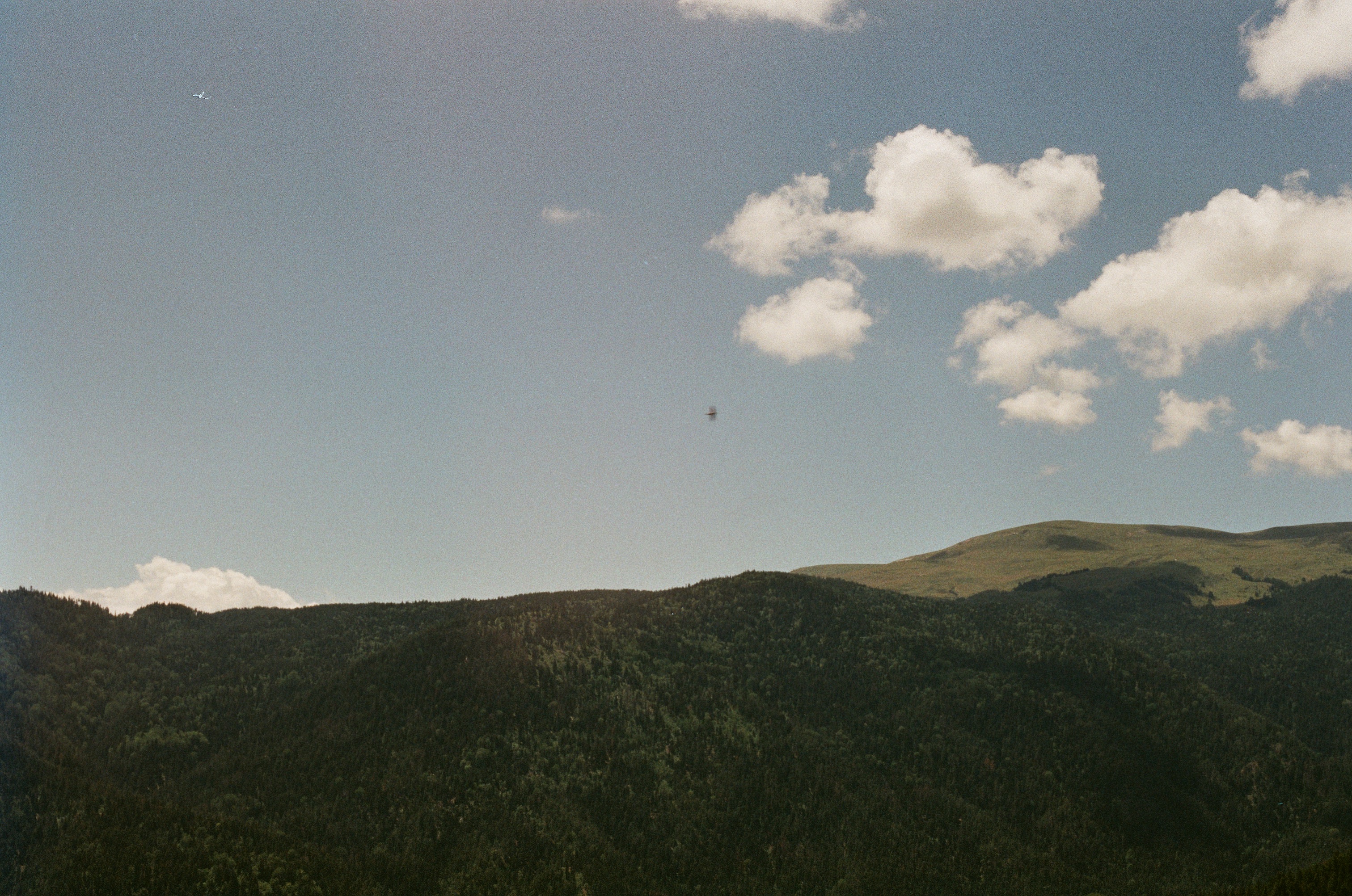 Film 33